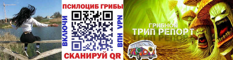 KRAKEN ССЫЛКА  Новопавловск  Галлюциногенные грибы прущие грибы 